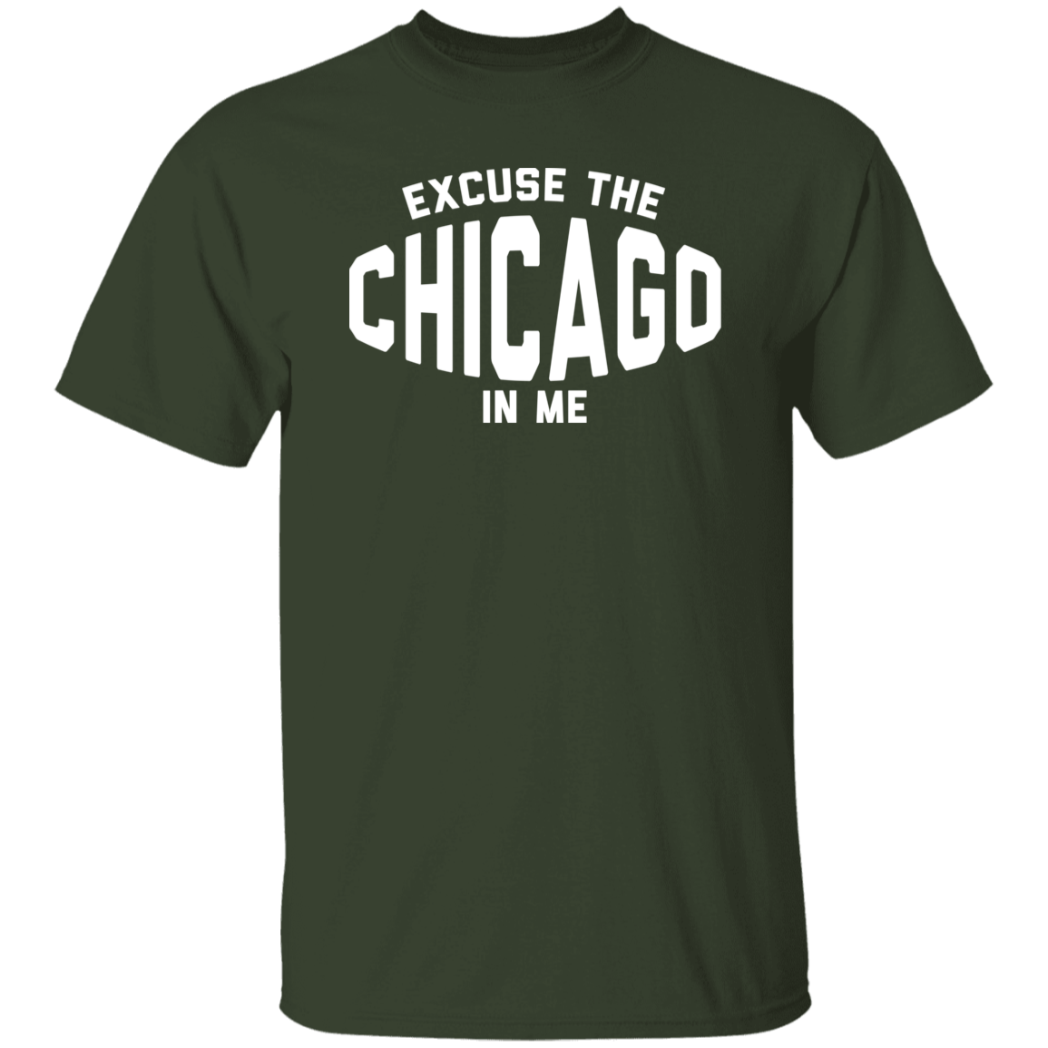 Excuse Chicago In Me